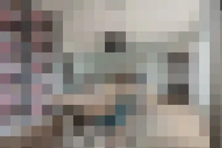 de Deel 19 Kamerik thumbnail 14