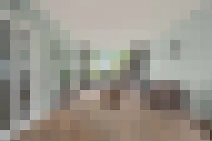 de Deel 19 Kamerik foto 2