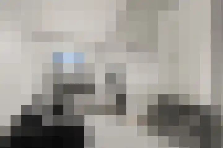 de Deel 19 Kamerik thumbnail 28