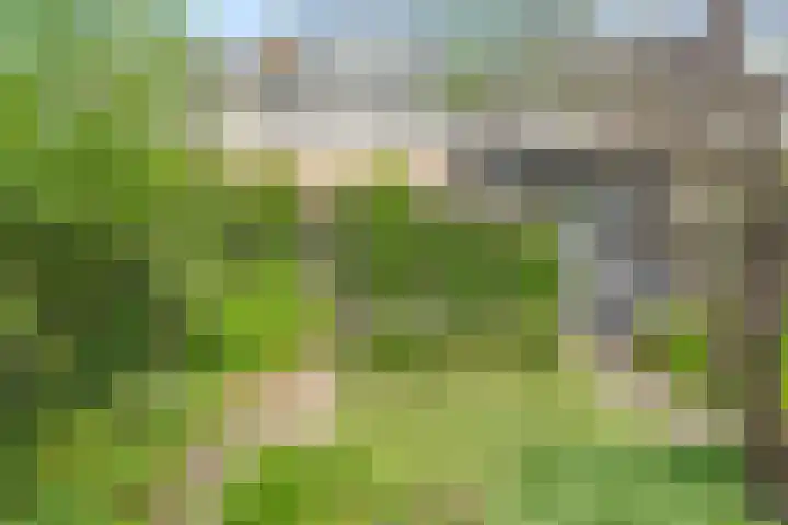 de Deel 19 Kamerik thumbnail 39