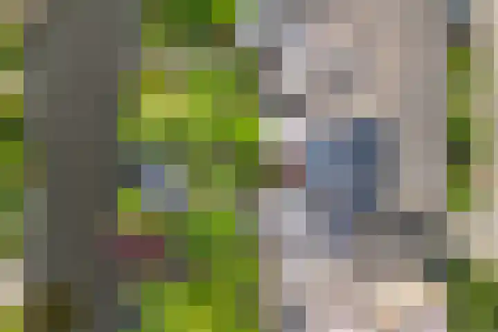 de Deel 19 Kamerik thumbnail 4