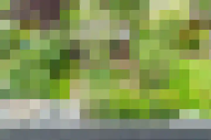 de Deel 19 Kamerik thumbnail 40