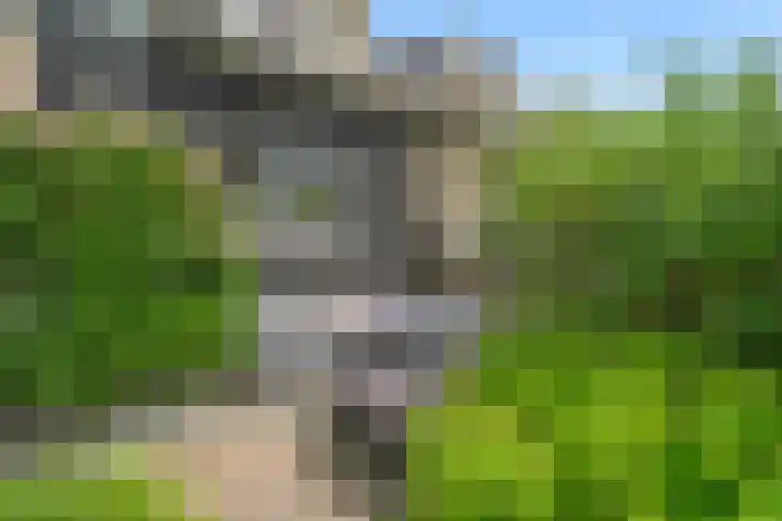 de Deel 19 Kamerik thumbnail 43