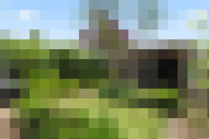 de Deel 19 Kamerik thumbnail 44