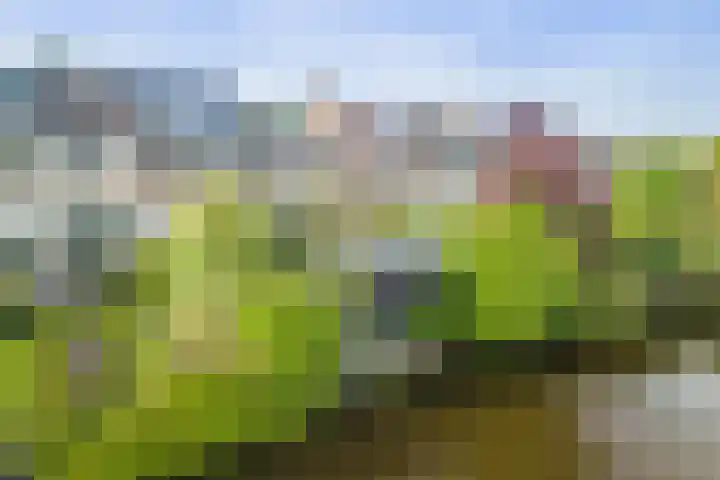 de Deel 19 Kamerik thumbnail 46
