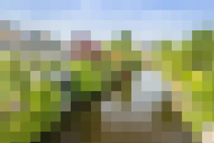 de Deel 19 Kamerik thumbnail 47