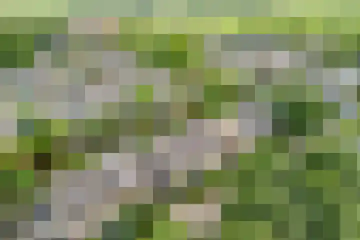 de Deel 19 Kamerik thumbnail 48