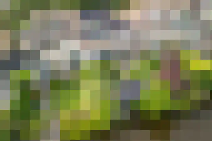 de Deel 19 Kamerik thumbnail 5