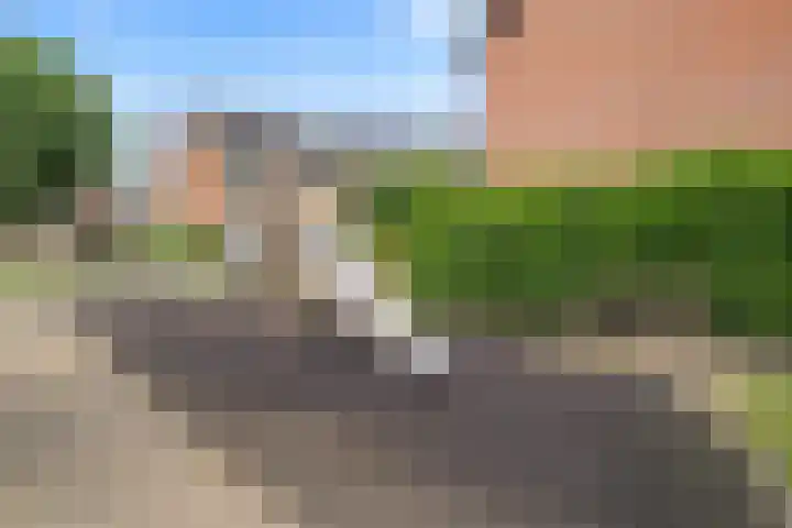 de Deel 19 Kamerik thumbnail 52