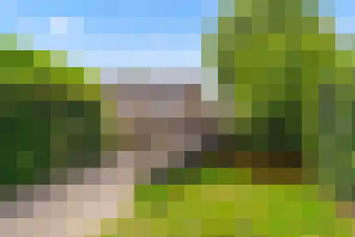 de Deel 19 Kamerik thumbnail 53