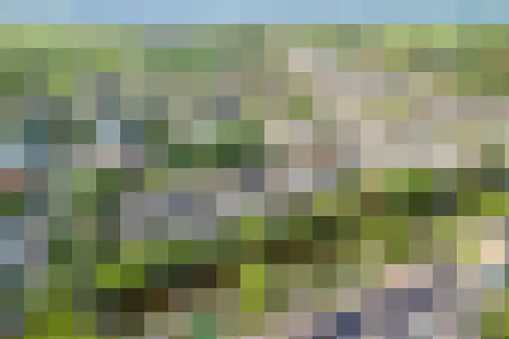 de Deel 19 Kamerik thumbnail 54