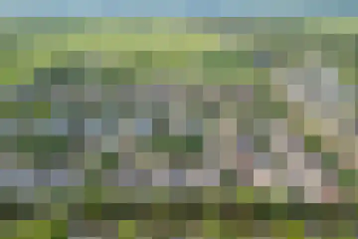 de Deel 19 Kamerik thumbnail 55