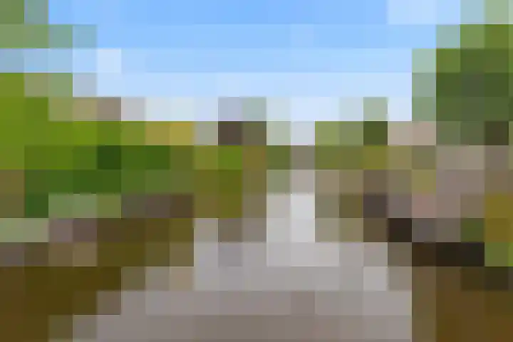 de Deel 19 Kamerik thumbnail 56