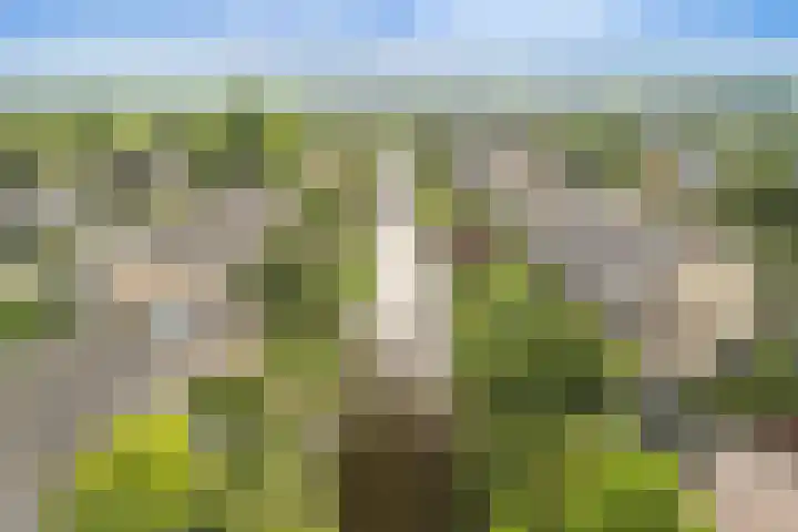 de Deel 19 Kamerik thumbnail 57