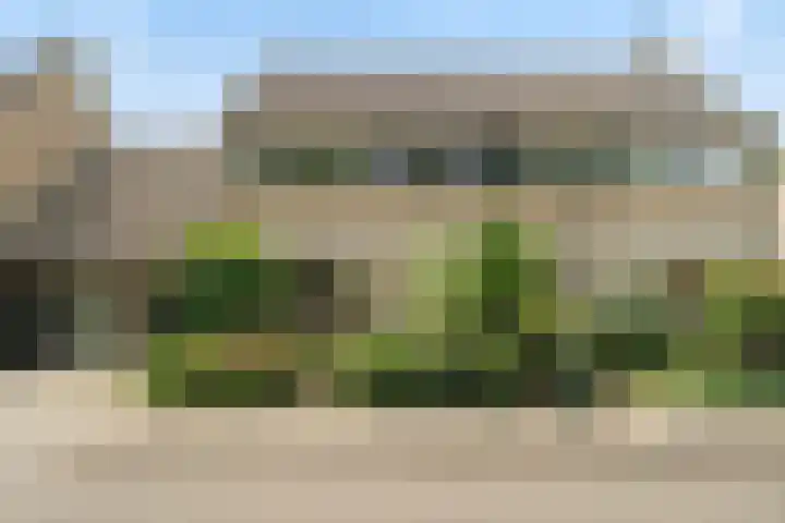 de Deel 19 Kamerik thumbnail 6