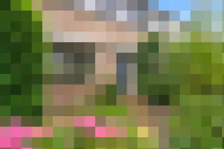 de Deel 19 Kamerik thumbnail 7
