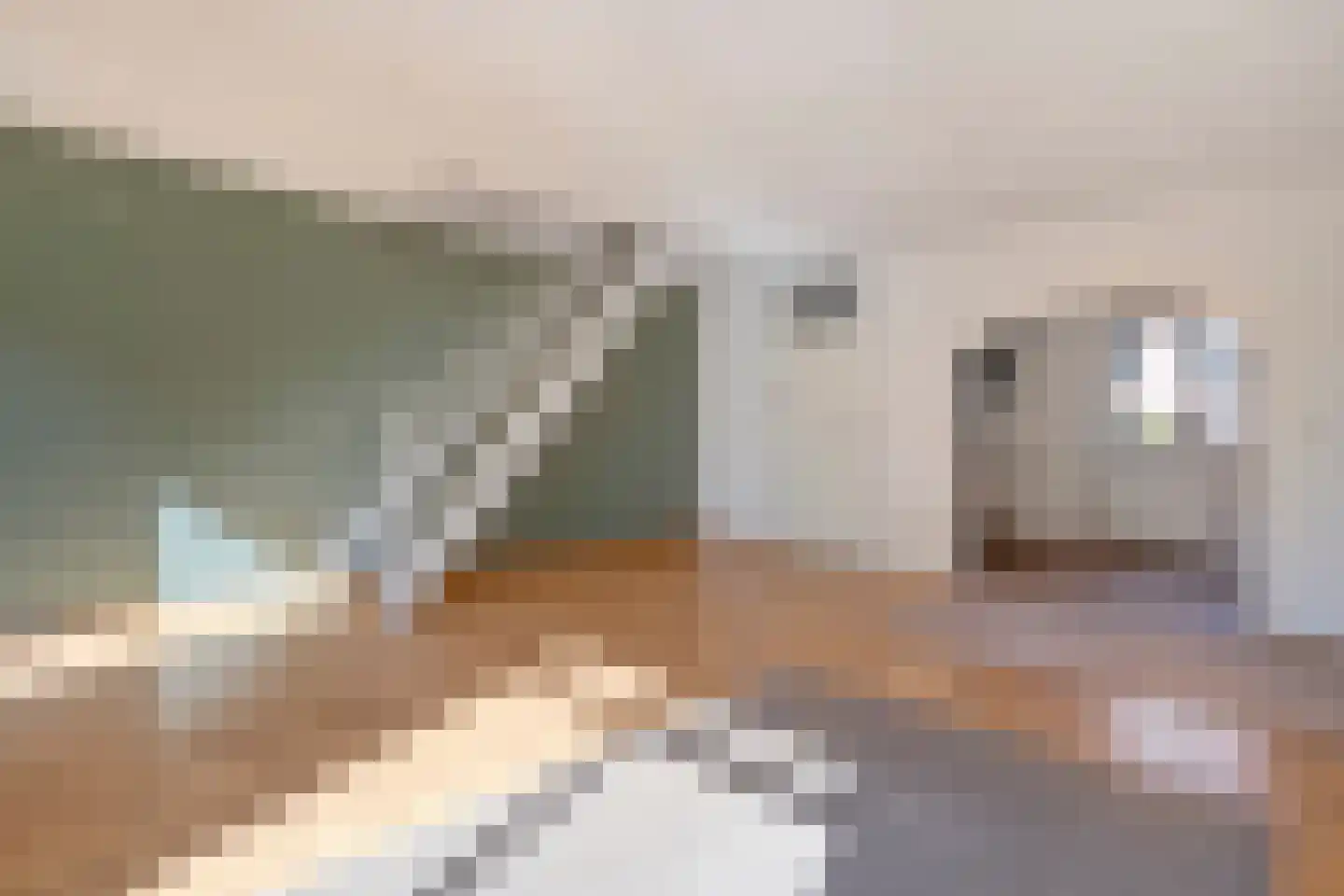 de Deel 22 Raalte thumbnail 13