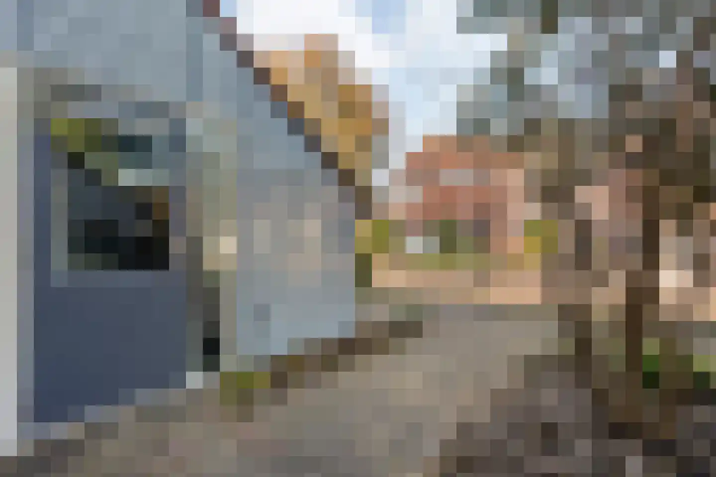 de Deel 22 Raalte thumbnail 7