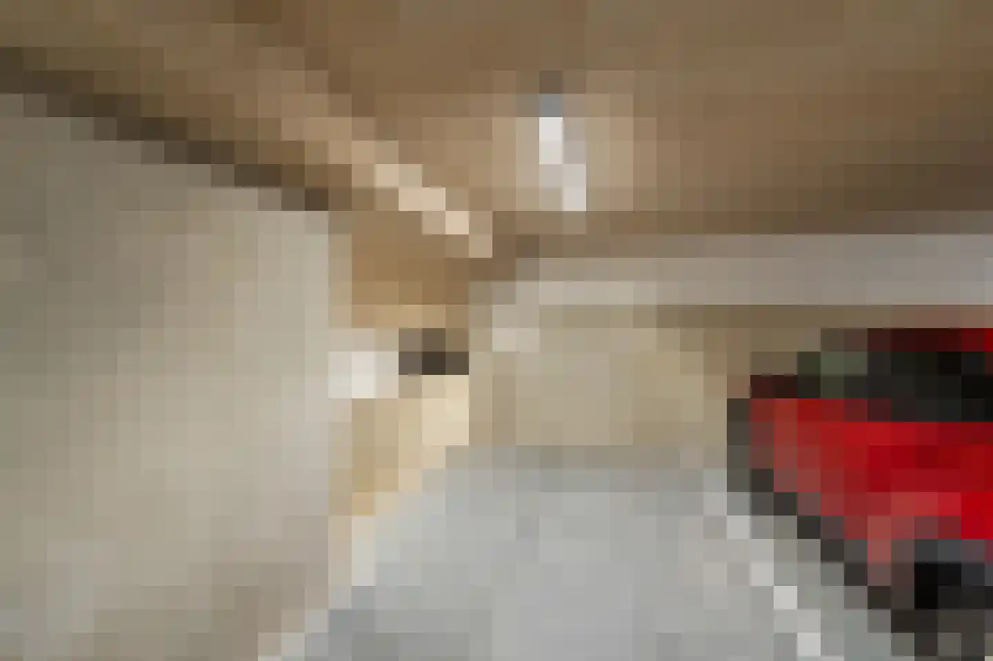 de Deel 23 05 Emmeloord thumbnail 36