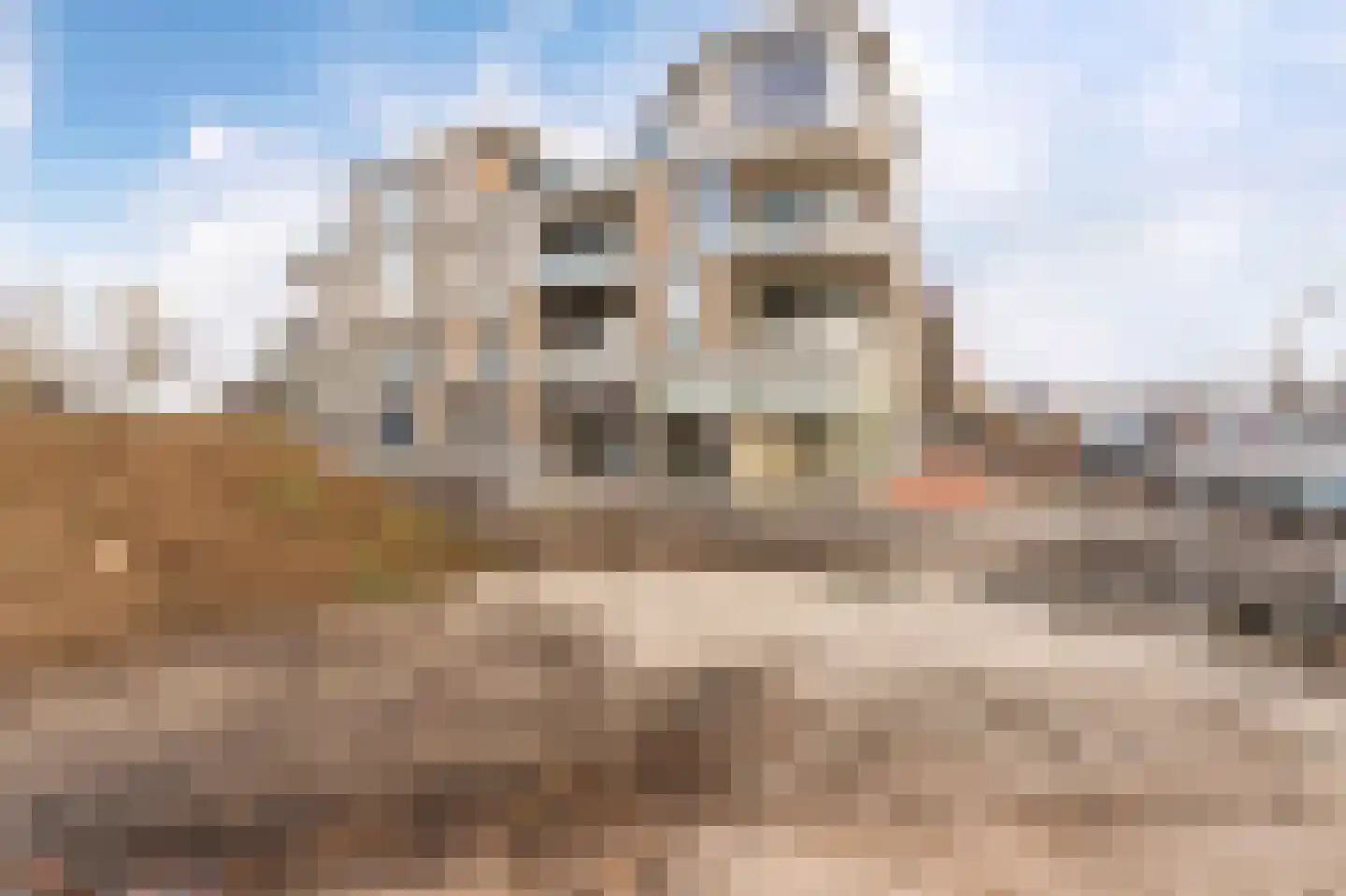 de Deel 23 05 Emmeloord thumbnail 6