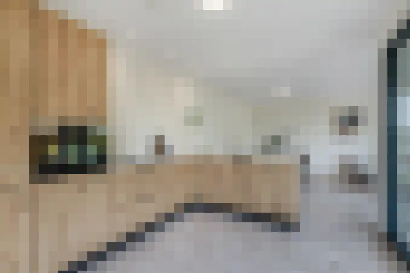 de Deel 23 13 Emmeloord thumbnail 33