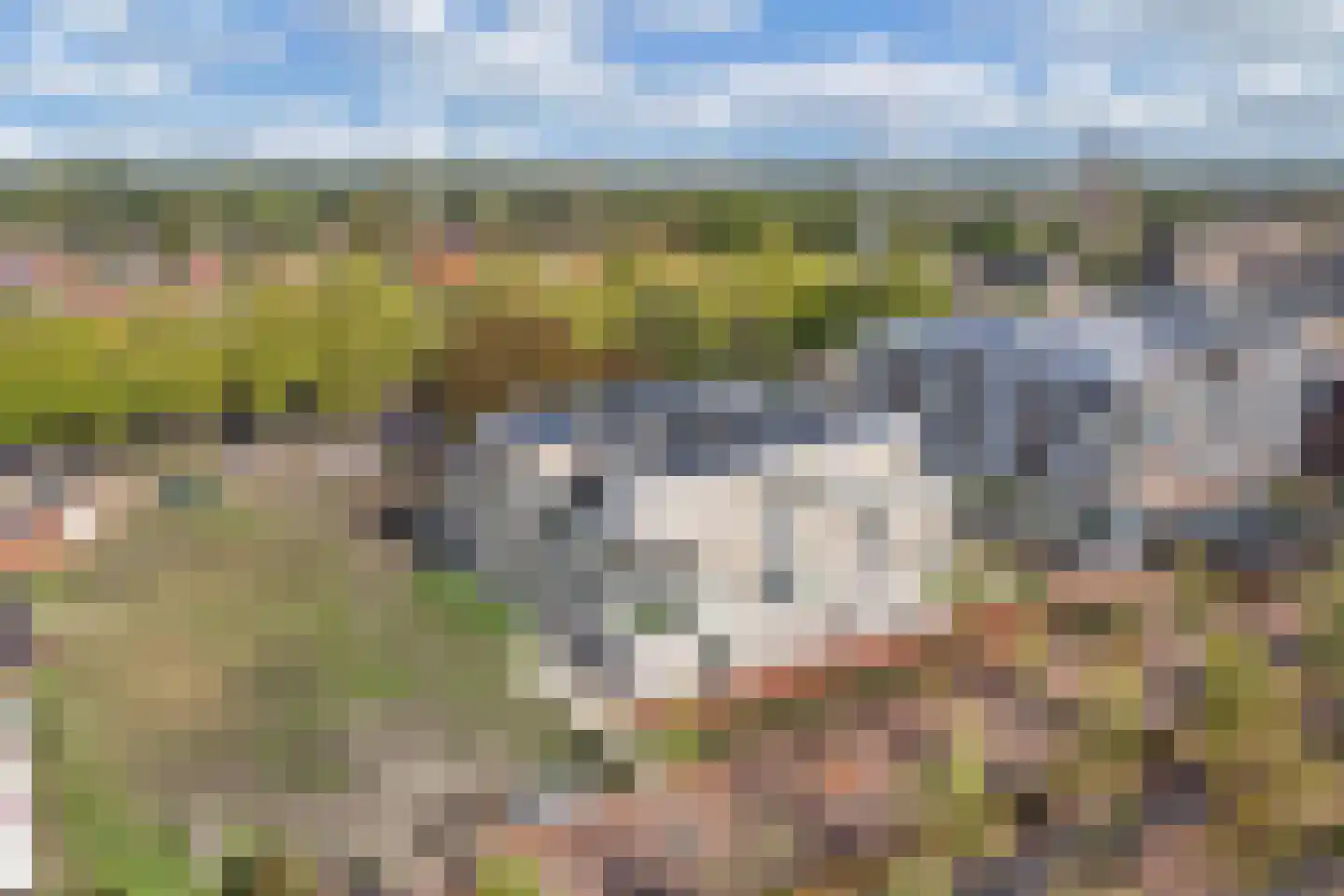 de Deel 23 13 Emmeloord thumbnail 56