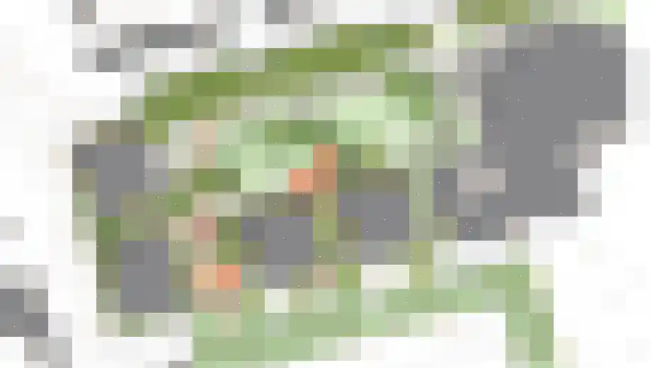 de Deel 23 13 Emmeloord thumbnail 60