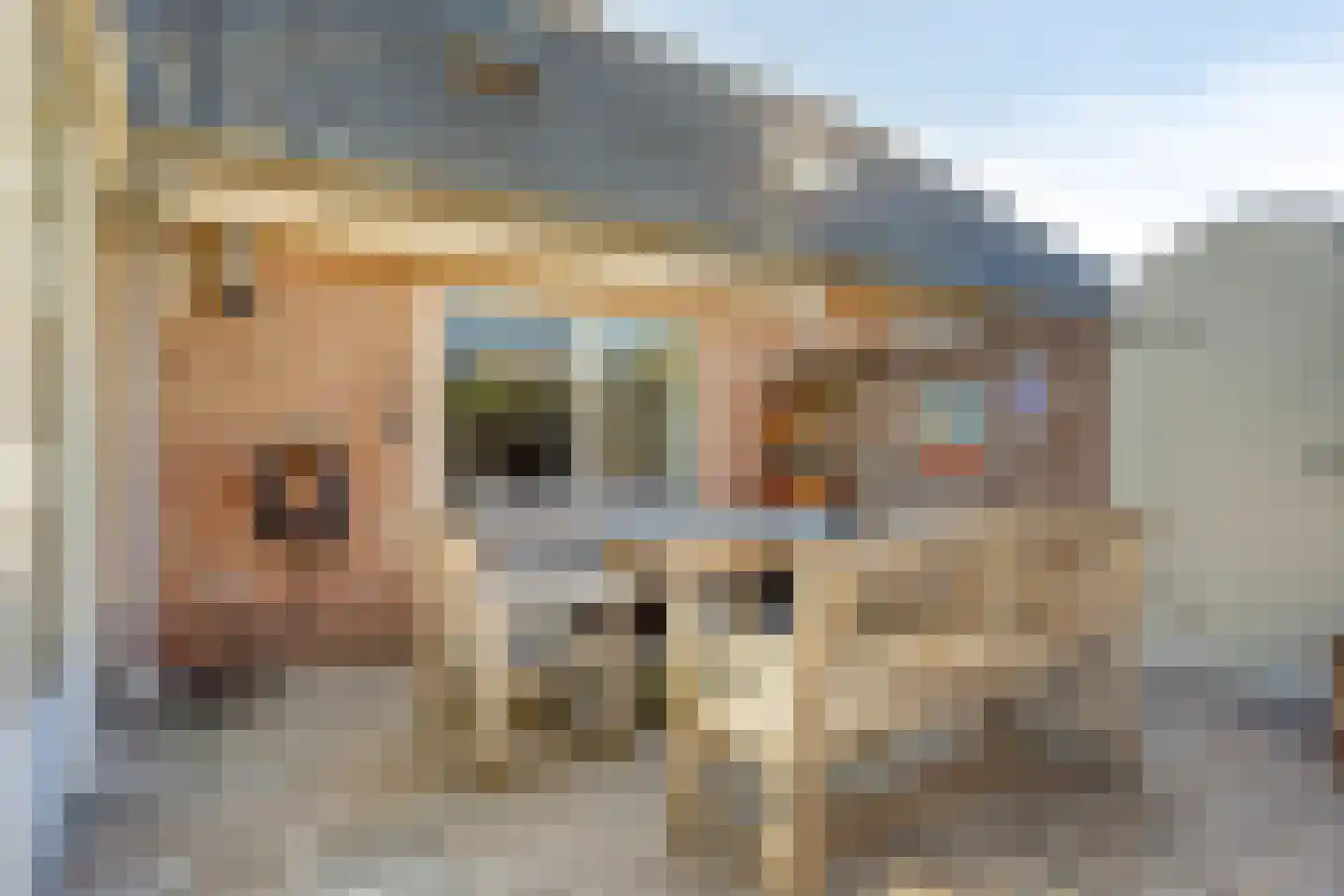 De Deel 3 Gassel thumbnail 32