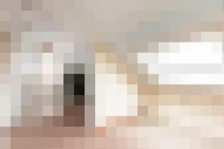 De Deel 4 Biddinghuizen thumbnail 31