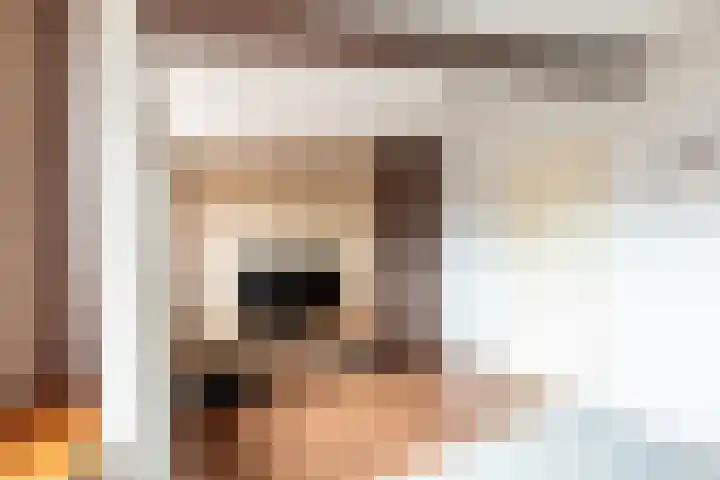 De Deel 4 Biddinghuizen thumbnail 34