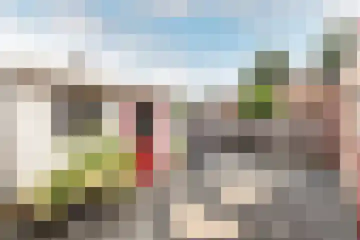 De Deel 4 Biddinghuizen thumbnail 39