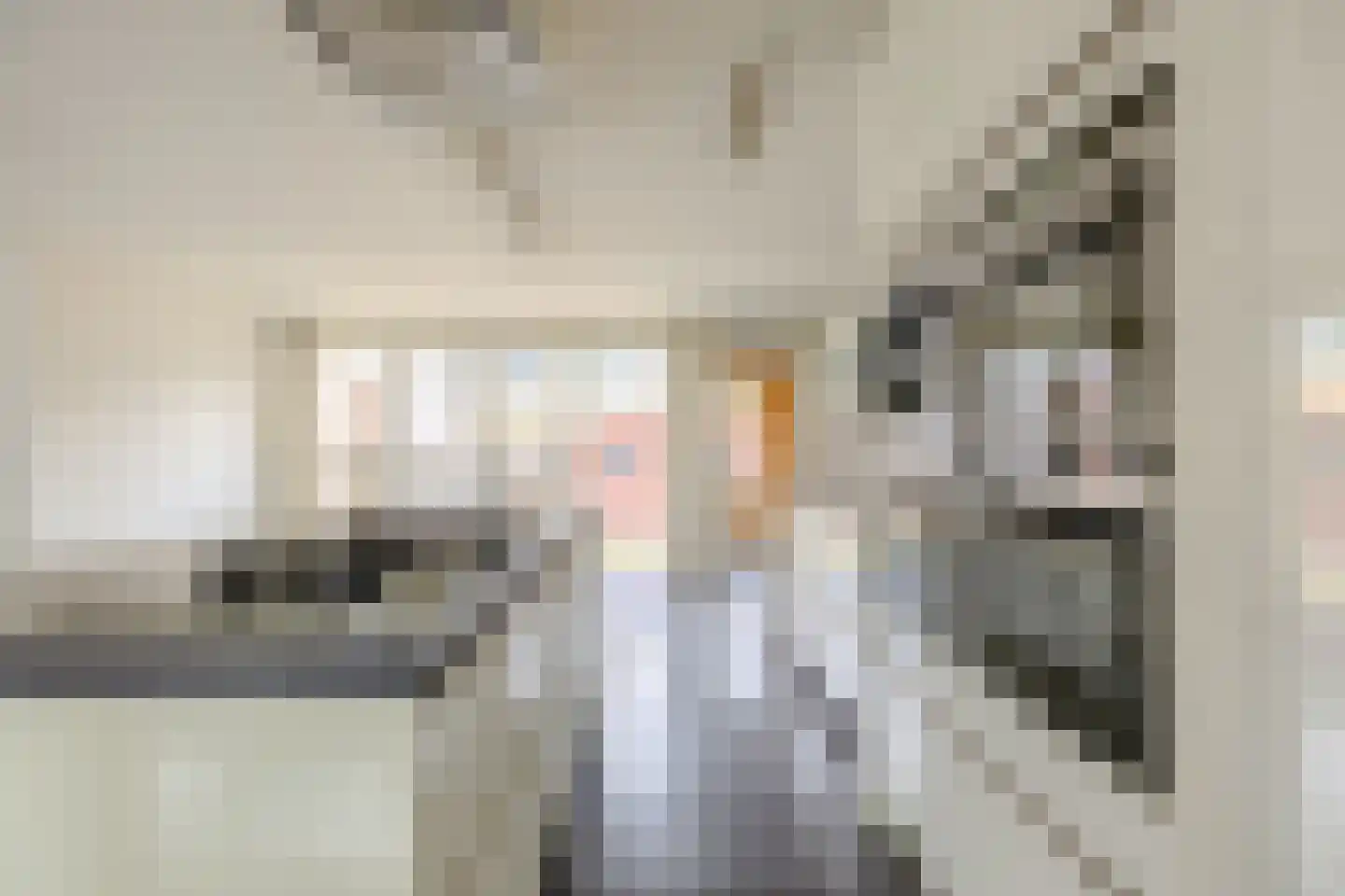 de Deel 43 Kamerik thumbnail 13