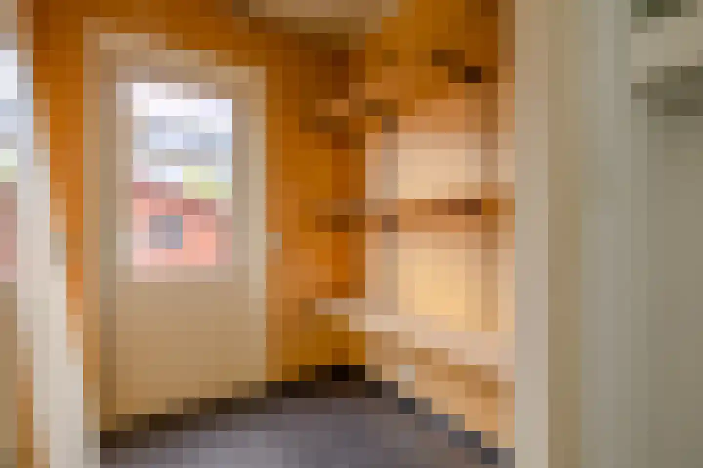 de Deel 43 Kamerik thumbnail 17