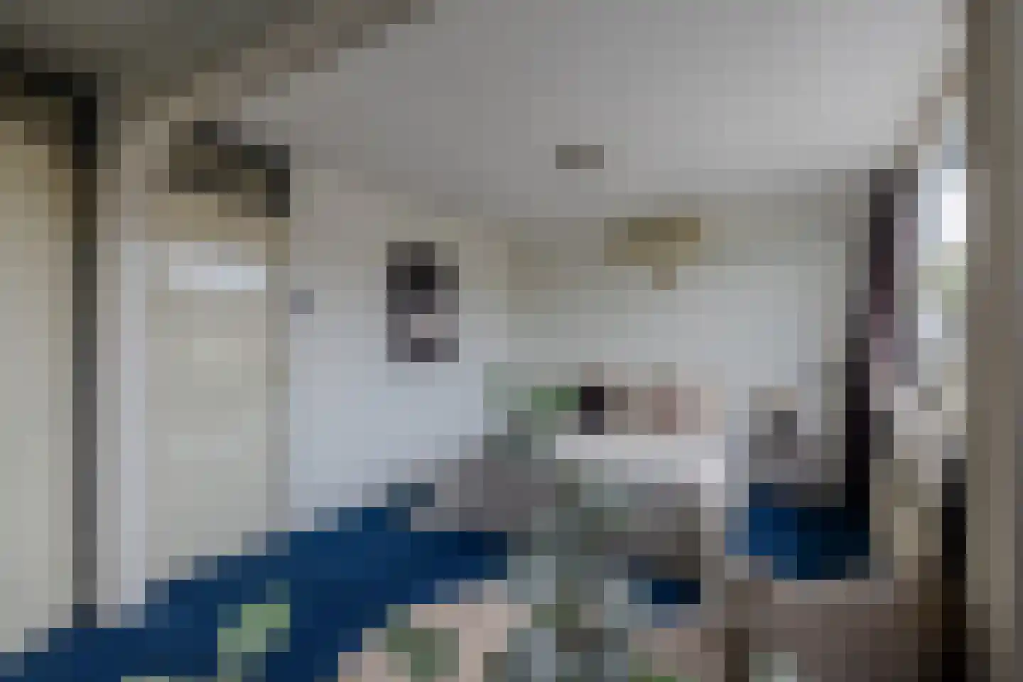 de Deel 43 Kamerik thumbnail 33