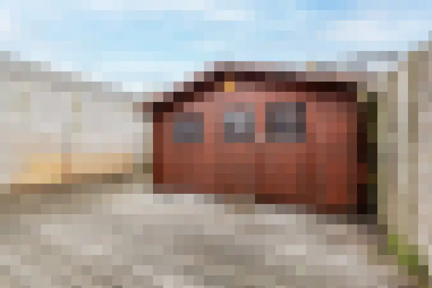 de Deel 43 Kamerik thumbnail 50