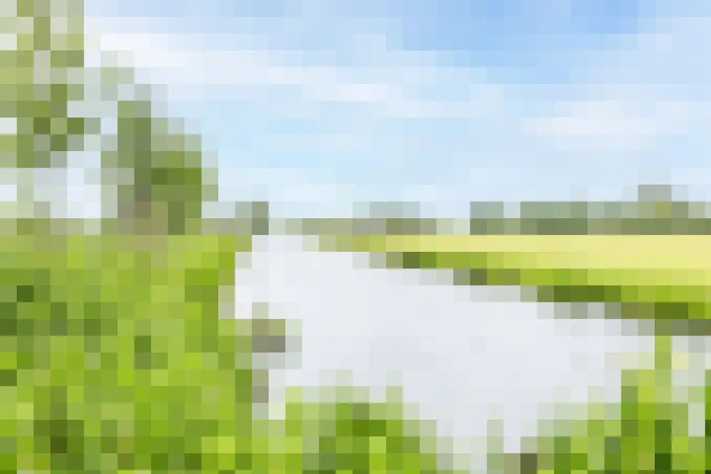 de Deel 43 Kamerik thumbnail 54