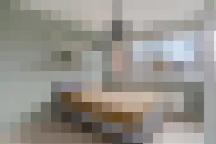 De Deel 49 Veenendaal thumbnail 14