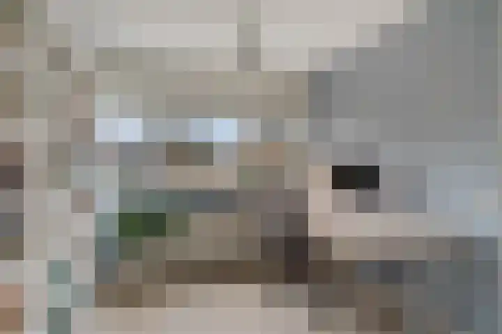 De Deel 49 Veenendaal thumbnail 16