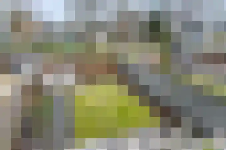 De Deel 49 Veenendaal thumbnail 25