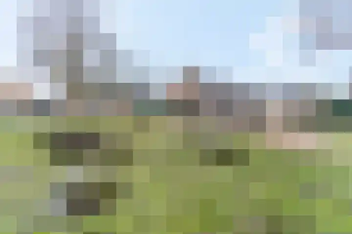 De Deel 49 Veenendaal thumbnail 33