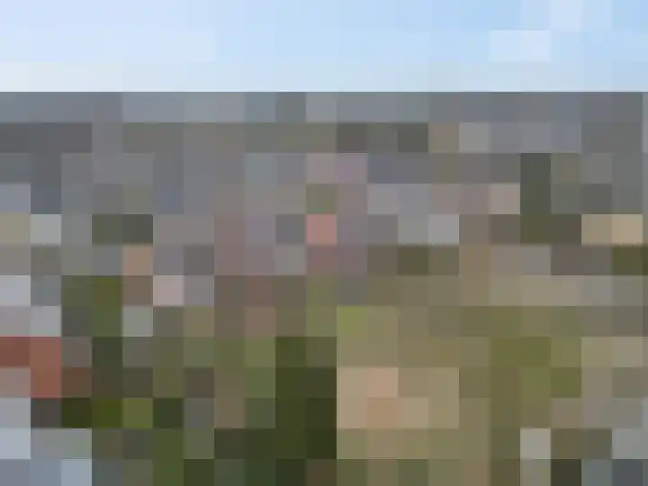 De Deel 49 Veenendaal thumbnail 37