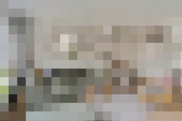 De Deel 49 Veenendaal thumbnail 5