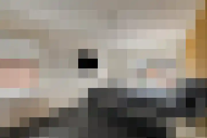 de Deel 58 Raalte thumbnail 19