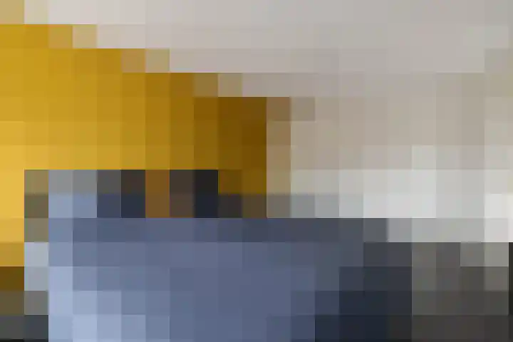 de Deel 58 Raalte thumbnail 20