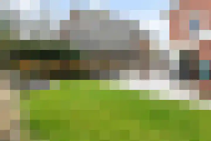 de Deel 58 Raalte thumbnail 36
