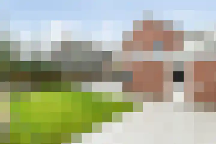 de Deel 58 Raalte thumbnail 38