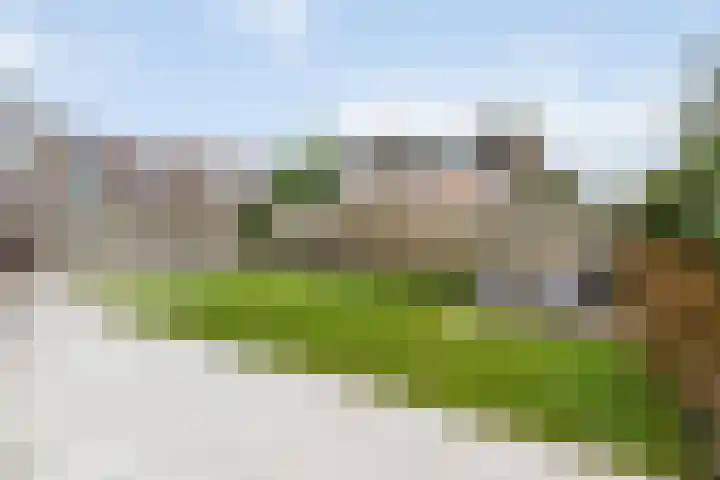 de Deel 58 Raalte thumbnail 39