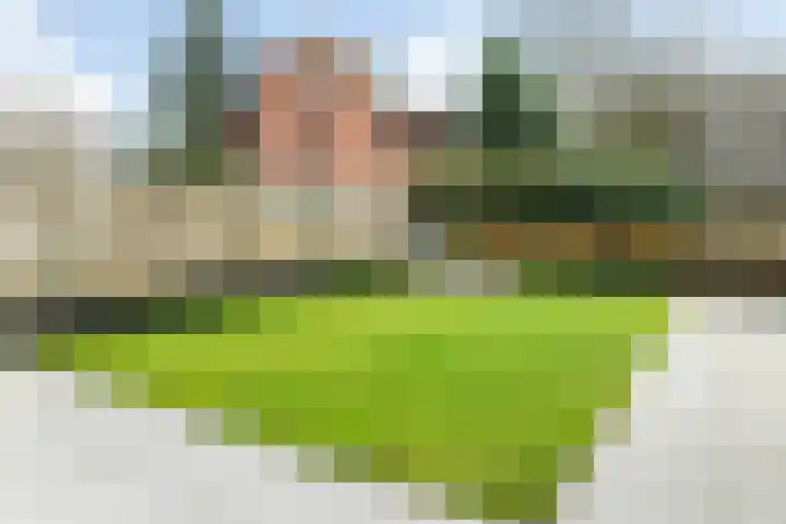 de Deel 58 Raalte thumbnail 40