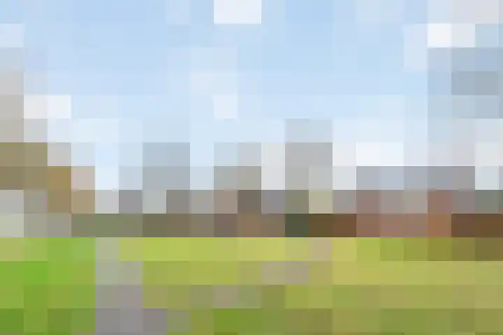 de Deel 58 Raalte thumbnail 41