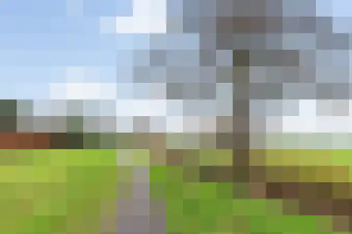 de Deel 58 Raalte thumbnail 42